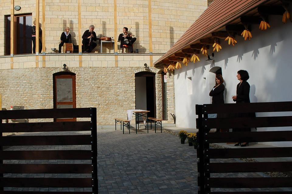 Zempléni Pitvaros Pihenő Telkibánya Exterior foto